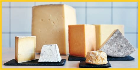 Essential Types Of Cheese The Kitchn, 51% OFF