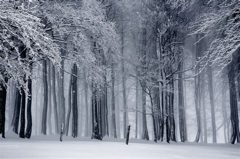 Winter Wallpaper Widescreen Hd