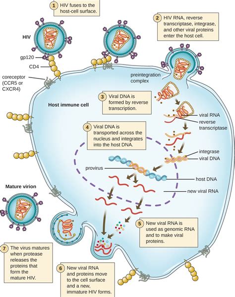 Pin on Microbiology