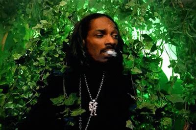 Snoop Dogg GIFs - Find & Share on GIPHY