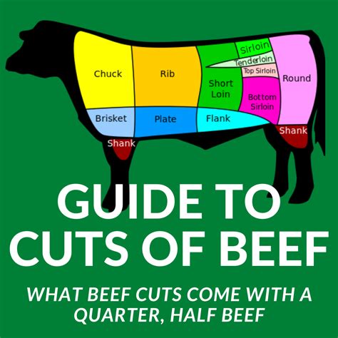 A Guide To All The Cuts Of Beef, 42% OFF