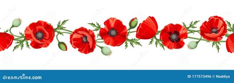 Horizontal Seamless Border with Red Poppy Flowers. Vector Illustration ...