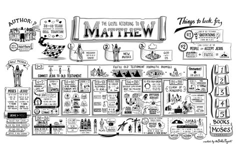 Read Scripture: Matthew | Small Groups | Bible Project | Free Church ...