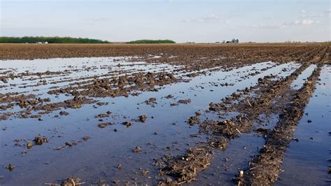 Muddy Fields Cause Slow Planting Completion Again This Year ...