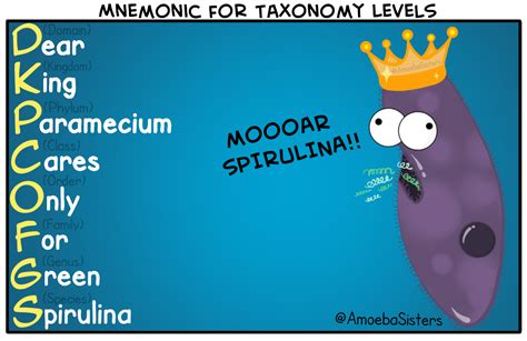 Mnemonic for Taxonomy Levels in Classification - SCIENCE WITH THE ...