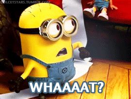 Minions GIFs - Find & Share on GIPHY