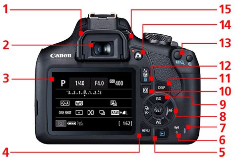 back camera last 7 Diagram | Quizlet