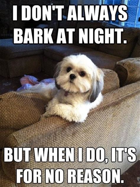 0comments on Dogs Funny Pics with Funny Captions