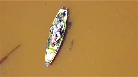 Video: Northern Snakehead Cast to Catch