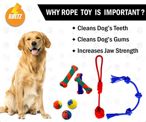 Boltz Combo of 4 Durable Dog Teeth Cleaning,Chewing and Biting Knotted ...