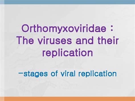 Orthomyxoviridae The viruses and their replication stages of