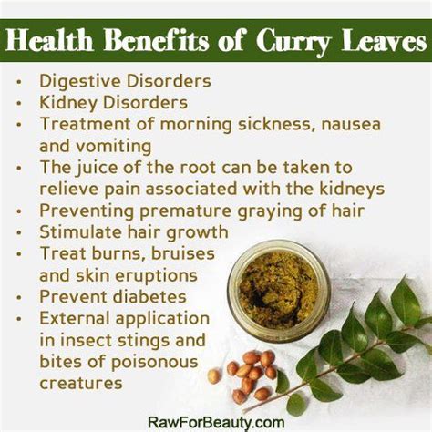 Natural Cures Not Medicine: Health benefits of curry leaves