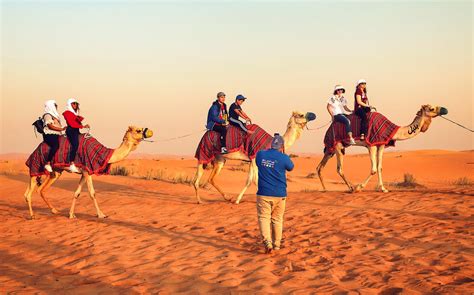 Camel Rides Dubai: What to Expect, Dubai Desert Safari Tours, FAQ and more