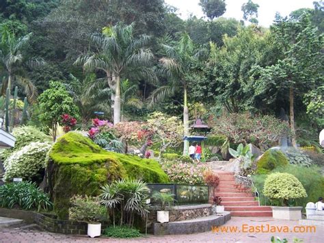 Selecta Flower Garden – Visit Indonesia – The Most Beautiful ...