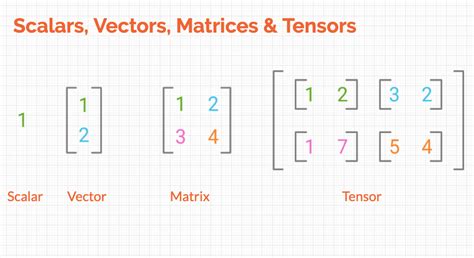 Linear Algebra for Data Science Ep1 — Introduction to Vectors and ...