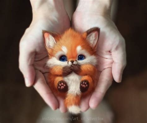 Artist Draws The Cutest Animals, Imagines Them Living In Our World (30 ...