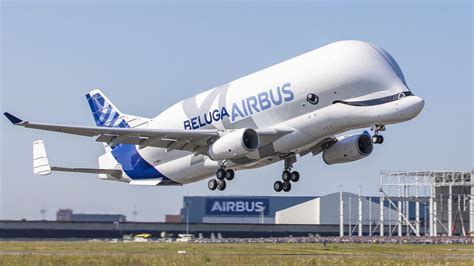 Whale Of A Plane: Airbus BelugaXL Makes First Flight : NPR