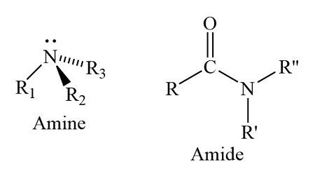 Amide | Structure, Functional Group Bond & Examples - Video & Lesson ...