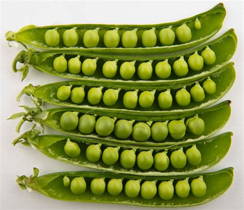 Health Benefits Of Peas - Green Peas | HubPages