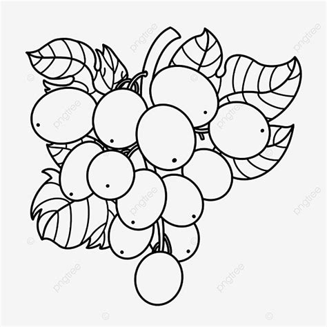 Fruit Grape Clipart Black And White, Lip Drawing, Grape Drawing, Black ...