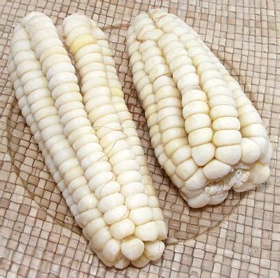 giant white corn vs hominy