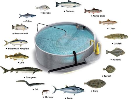 Types of Aquaculture and Recent Advances toward Farming ...