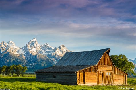 Astounding The Barn Landscape Ideas | Lantarexa