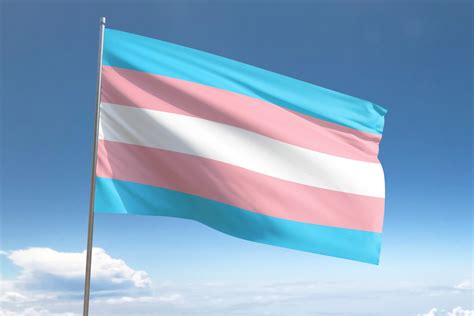 Transgender Pride Flag History