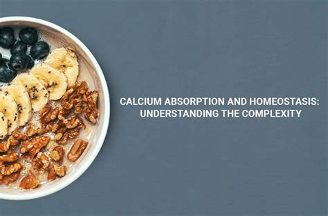 Calcium Absorption and Homeostasis: Understanding the Complexity ...