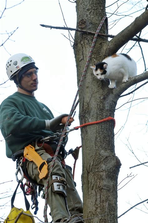 Animal Rescue - some days you just need a little help | Animal rescue ...