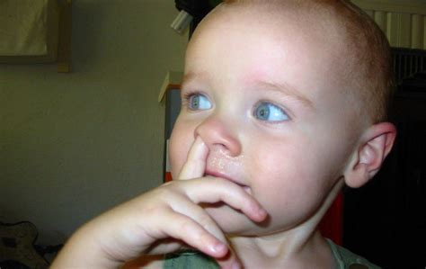 Go Ask Mum So Now We Should Be Encouraging Our Kids to Pick Their Noses ...