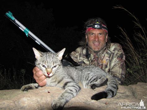 African Wild Cat | Hunting