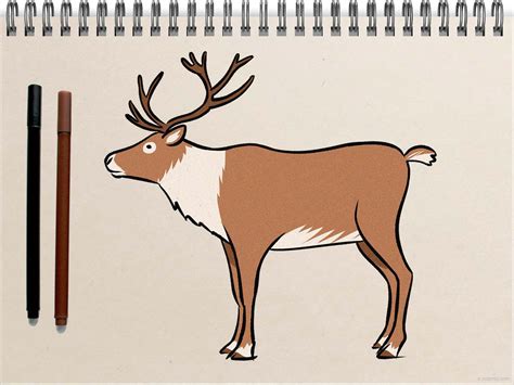 How to draw a Reindeer Reindeer Drawing Ideas