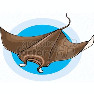 Stingrays Clip Art, Photos, Vector Clipart, Royalty-Free Images # 1