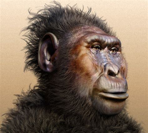 0 Hominidés 0.3 Pliocène Supérieur Australopithecus Boisei Paranthrope ...