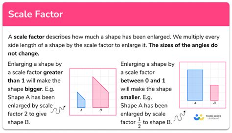 Scale Factor - GCSE Maths - Steps, Examples & Worksheet