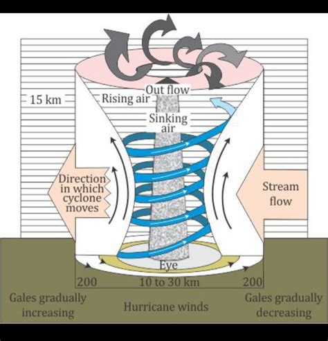 Draw A Need Diagram of formation Of A Cyclone. - Chemistry - Assignment ...