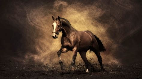 Horse Wallpapers | Best Wallpapers