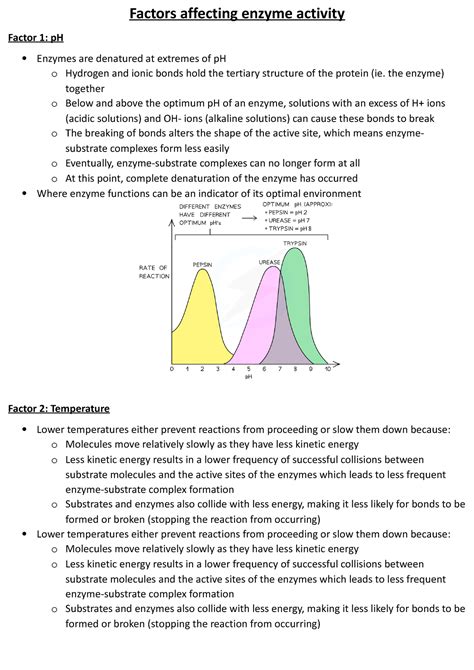 Factors affecting enzyme activity - Factors affecting enzyme activity ...