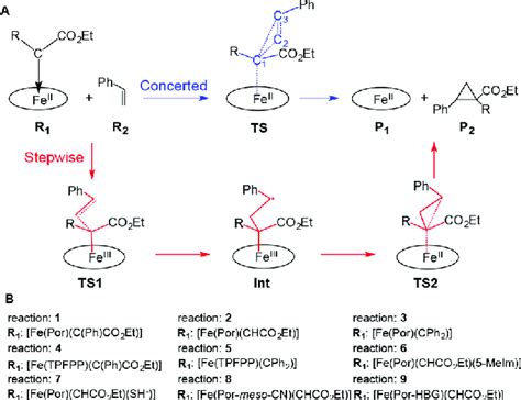 Scheme 1. Target Cyclopropanation Reactions a | Download Scientific Diagram