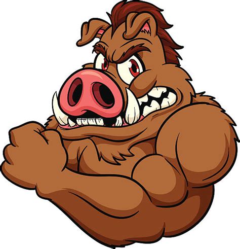 Best Angry Pig Illustrations, Royalty-Free Vector Graphics & Clip Art ...