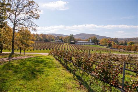 Virginia Wineries to Visit This Fall - Wine and Country Life