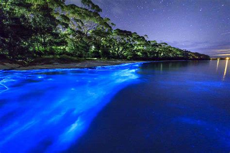 20 Best Beaches In New Zealand For A Romantic Holiday