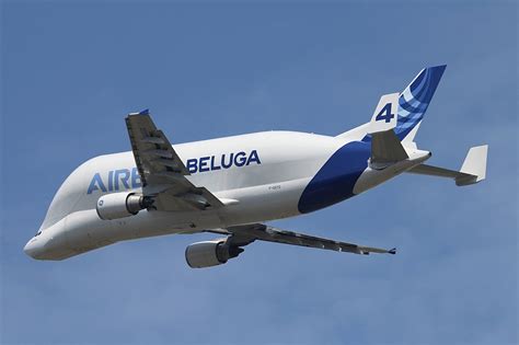 airbus, Beluga, A300, 600st, Cargo, Aircrafts, Airliner, Airplane ...