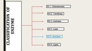 Isomerases | PPT