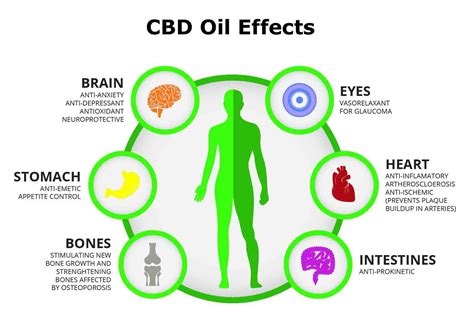 Potential Therapeutic Effects of Cannabidiol and How It Works ...