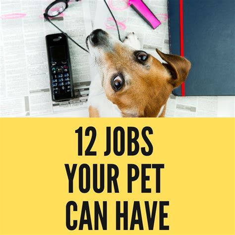 12 Jobs Your Pet Can Have - Oxford Pets