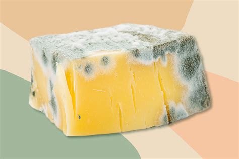 Can You Eat Moldy Cheese? We Asked an RD, So You Don't Have To - Brightly