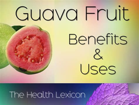 11 Benefits and Uses for Guava Fruit [Video] - Ryan Taylor Natural Remedies