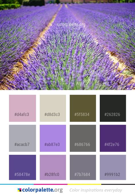 Lavender English Color Palette | Color palette, Color, Color schemes